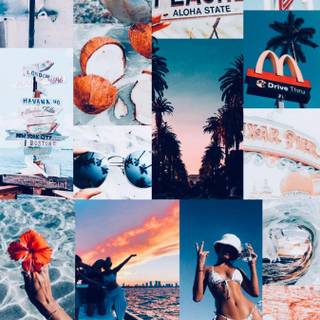 Summer softie wallpaper