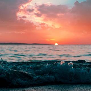 Summer softie wallpaper