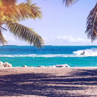 Blue summer laptop wallpaper