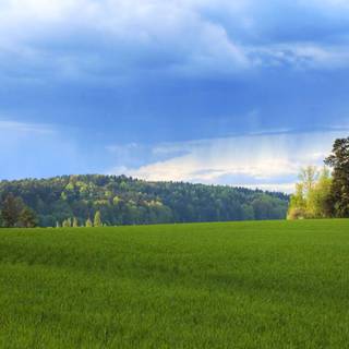 Summer Sweden wallpaper