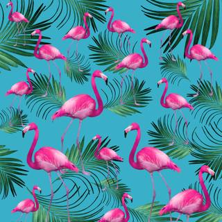 Summer flamingos wallpaper