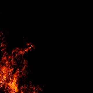 Summer bonfire wallpaper