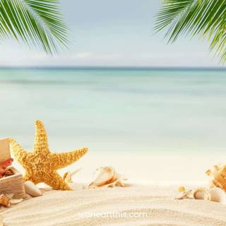 Summer softie wallpaper