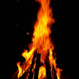 Summer bonfire wallpaper