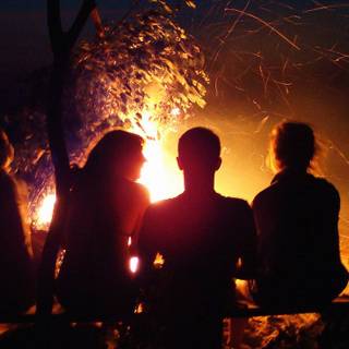 Summer bonfire wallpaper