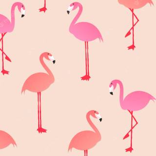 Summer flamingos wallpaper