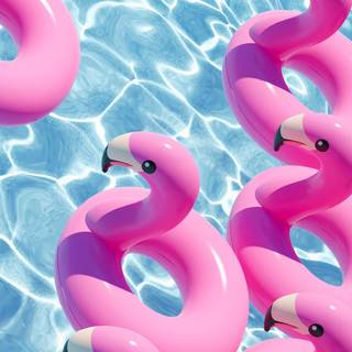 Summer flamingos wallpaper