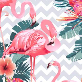 Summer flamingos wallpaper