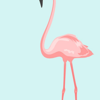 Summer flamingos wallpaper