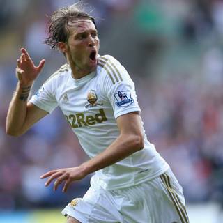Michu wallpaper