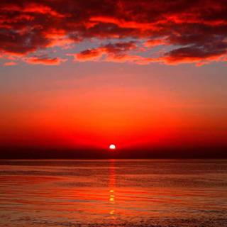 Endless summer wallpaper