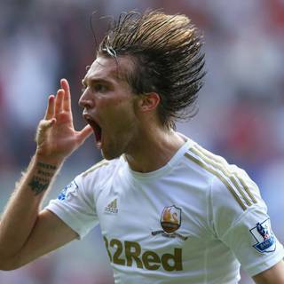 Michu wallpaper