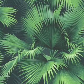 Endless summer wallpaper