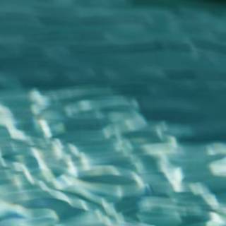 Endless summer wallpaper