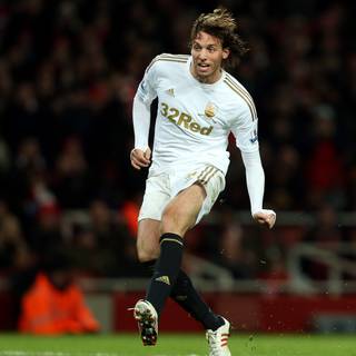 Michu wallpaper