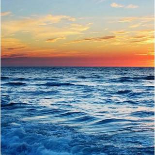 Endless summer wallpaper