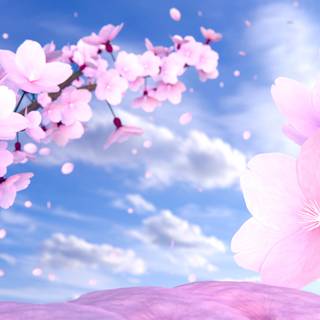 Anime cute flower wallpaper