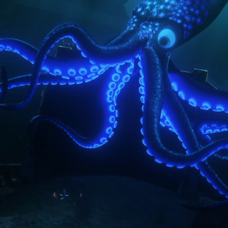 Colossal squid wallpaper