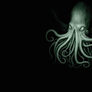 Colossal squid wallpaper