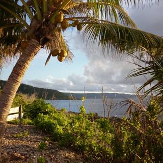 Christmas Island wallpaper