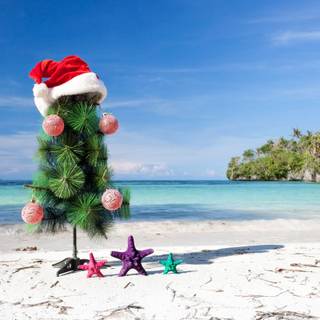 Christmas Island wallpaper