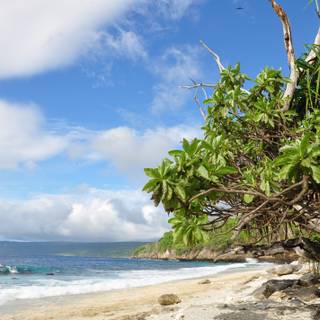 Christmas Island wallpaper