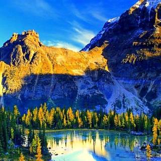 Nature 4k iPhone wallpaper