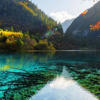 Nature 4k iPhone wallpaper