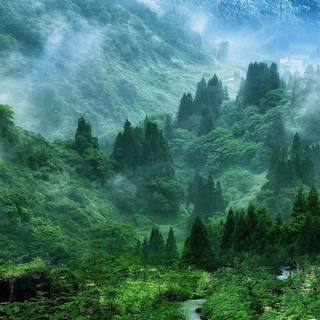 Nature 4k iPhone wallpaper