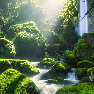 Nature 4k iPhone wallpaper