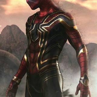 Spider Man fighting wallpaper