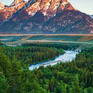 Nature 4k iPhone wallpaper