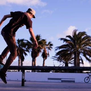 Flip desktop skate wallpaper