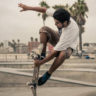 Flip desktop skate wallpaper