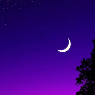 Nature 4k iPhone wallpaper