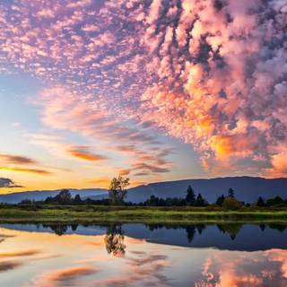 Nature 4k iPhone wallpaper