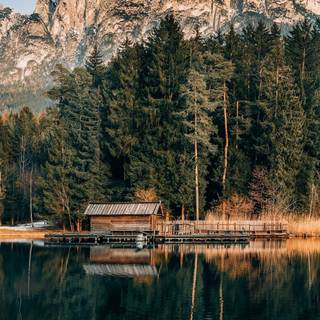 Nature 4k iPhone wallpaper