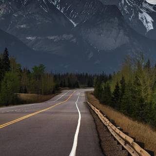 Nature 4k iPhone wallpaper