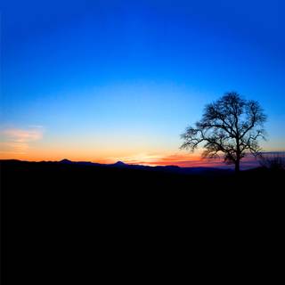 Nature 4k iPhone wallpaper