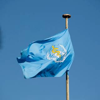 World Health Organisation wallpaper