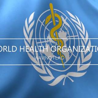 World Health Organisation wallpaper