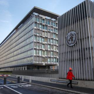 World Health Organisation wallpaper