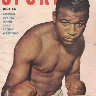 Sugar Ray Robinson iPhone wallpaper