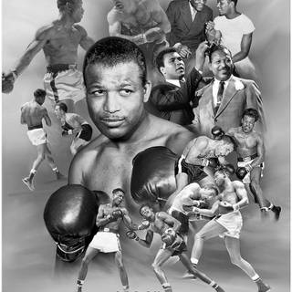 Sugar Ray Robinson iPhone wallpaper