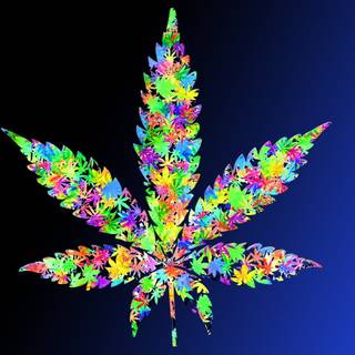 Marijuana leaves wallpaper