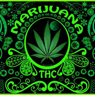 Pot leaves wallpaper