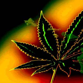 Pot leaves wallpaper