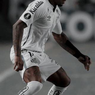 Marinho wallpaper