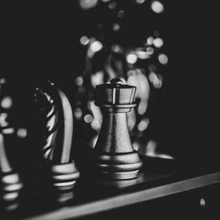 Knight chess wallpaper