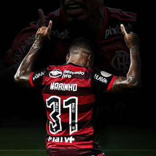 Marinho wallpaper